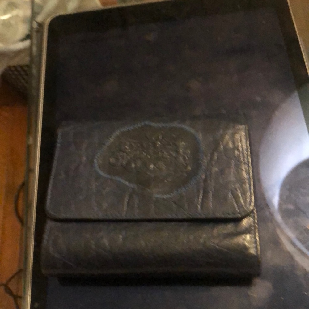 Carlos FALCHI Wallet